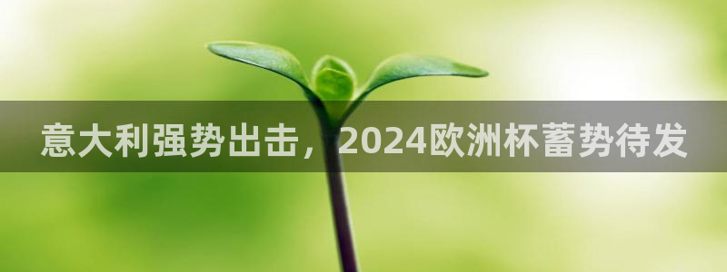 欧洲杯在哪个网站购买：意大利强势出击，2024欧洲杯蓄势待发