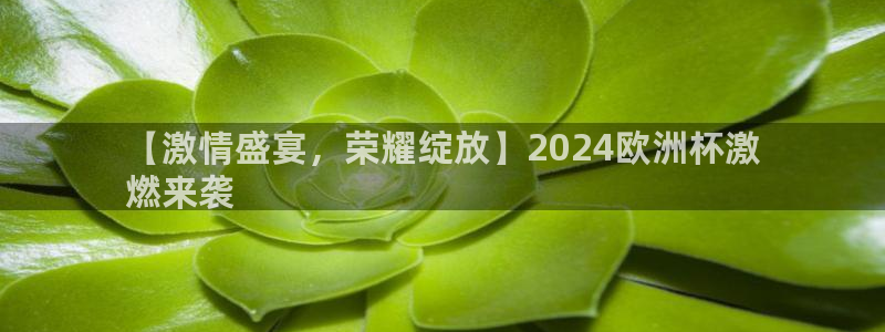 欧洲杯投注官方网站入口|【激情盛宴，荣耀绽放】2024欧洲杯激
燃来袭