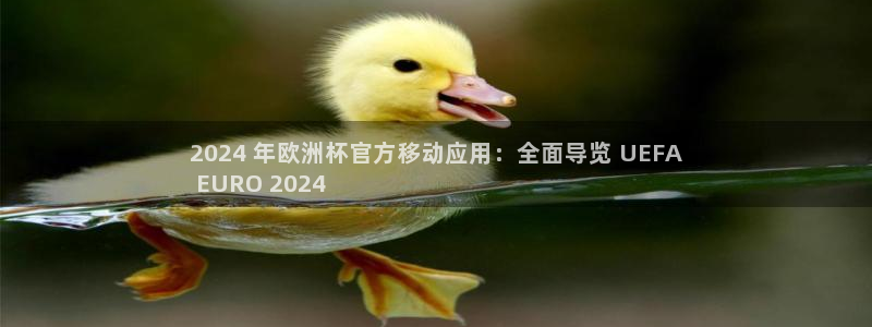 2024正规欧洲杯平台|2024 年欧洲杯官方移动应用：全面导览 UEFA
 EURO 2024