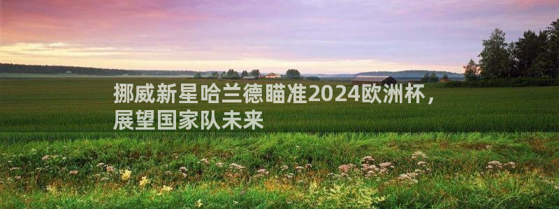 欧洲杯直播平台|挪威新星哈兰德瞄准2024欧洲杯，
展望国家队未来