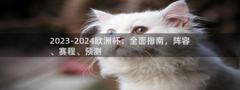 2024欧洲杯官方网站首页