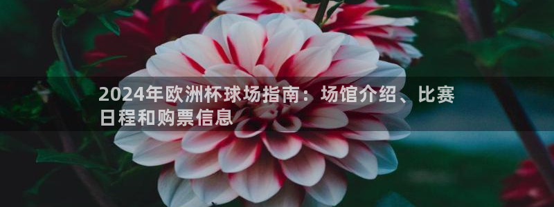 欧洲杯买注在哪买|2024年欧洲杯球场指南：场馆介绍、比赛
日程和购票信息