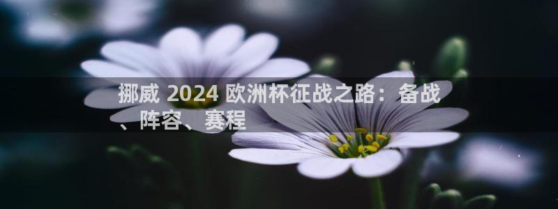 欧洲杯买球网|挪威 2024 欧洲杯征战之路：备战
、阵容、赛程