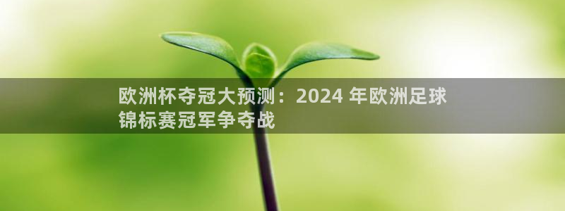 欧洲杯夺冠大预测：2024 年欧洲足球
锦标赛冠军争夺战