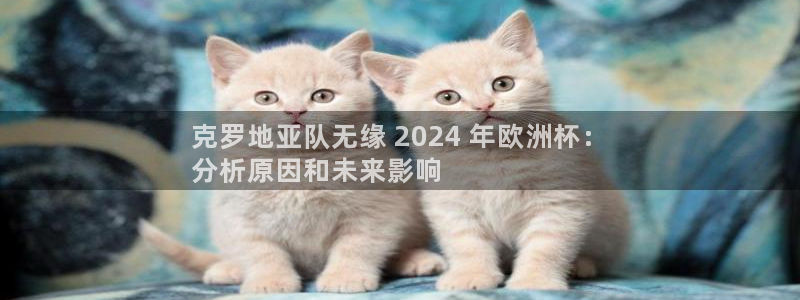 欧洲杯官网|克罗地亚队无缘 2024 年欧洲杯：
分析原因和未来影响