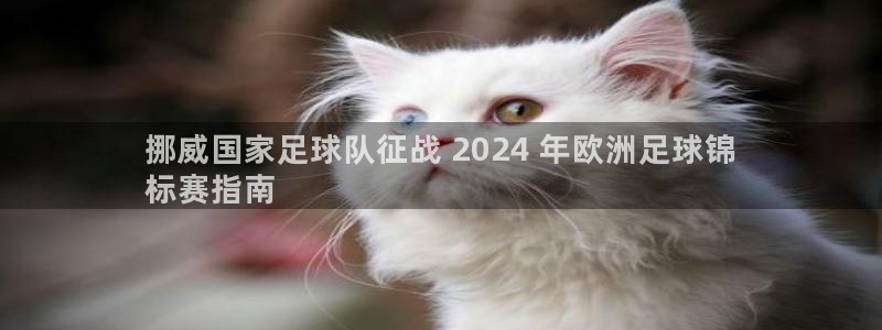 welcome欧洲杯官网|挪威国家足球队征战 2024 年欧洲足球锦
标赛指南