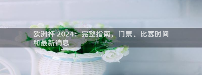 欧洲杯下赌注平台|欧洲杯 2024：完整指南，门票、比赛时间
和最新消息