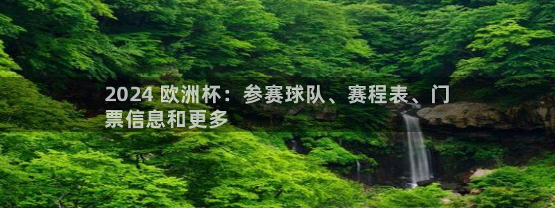 欧洲杯押注怎么买|2024 欧洲杯：参赛球队、赛程表、门
票信息和更多